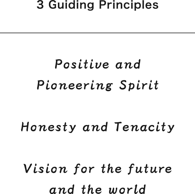 3 Guiding Principles
